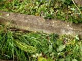 image of grave number 790631